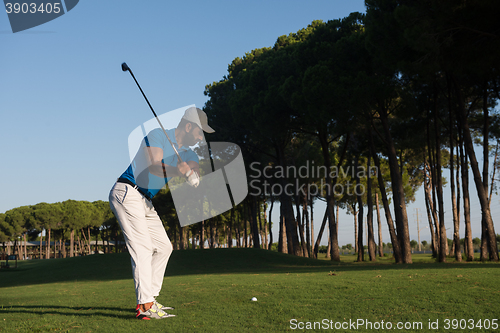 Image of golf player