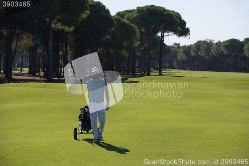 Image of golf player walking with wheel bag