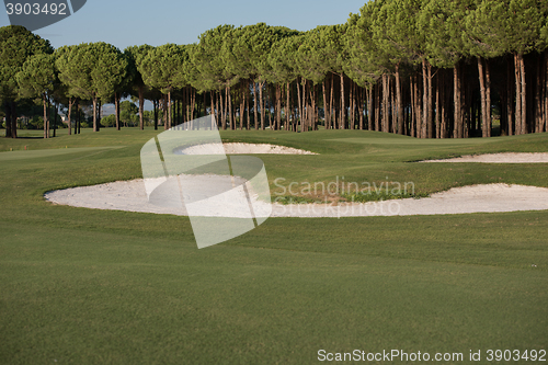 Image of golf course on sunny day