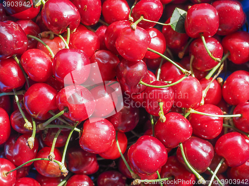 Image of Cherry fruit detail