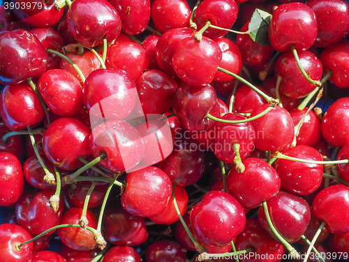 Image of Cherry fruit detail