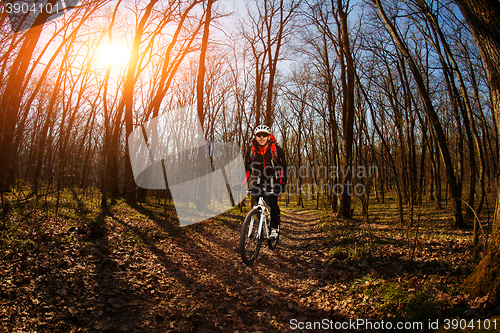 Image of Cyclist Riding the Bike