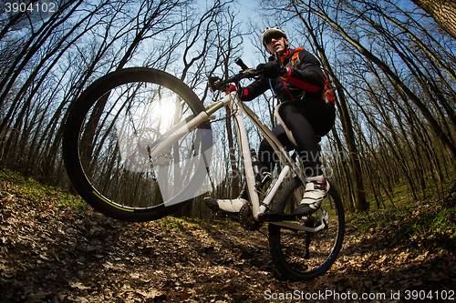 Image of Cyclist Riding the Bike