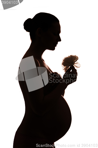 Image of Silhouette of pregnant woman holding flower