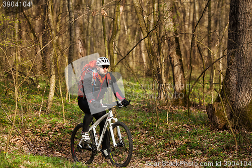 Image of Mountain Bike cyclist riding single track