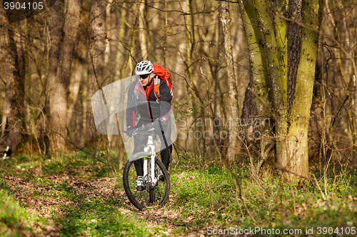 Image of Mountain Bike cyclist riding single track