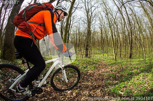 Image of Cyclist Riding the Bike