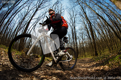 Image of Cyclist Riding the Bike