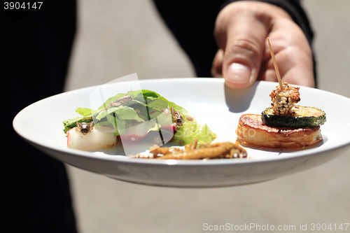 Image of cricket and vegetable salad and worms food