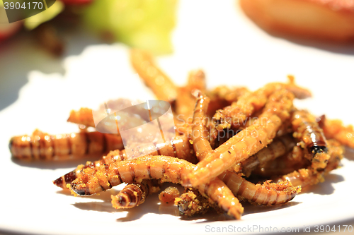 Image of grilled worm with curry