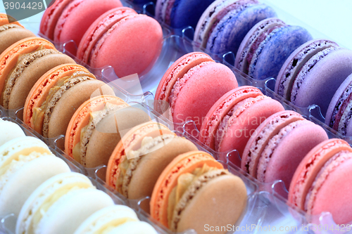 Image of color macaroon background