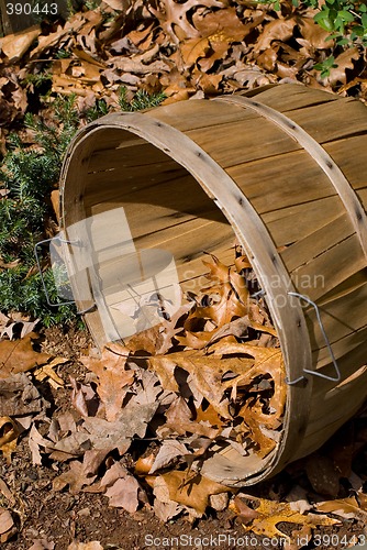 Image of Leaf Basket