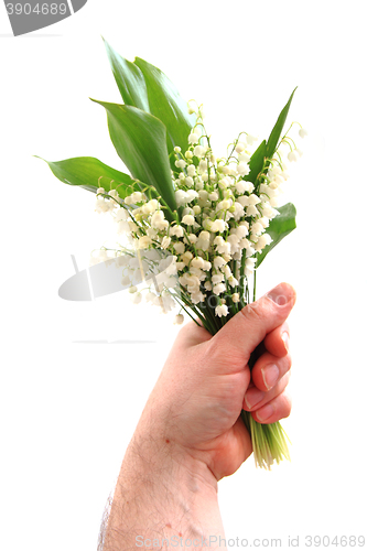 Image of lily of valley