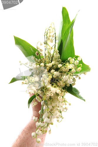 Image of lily of valley
