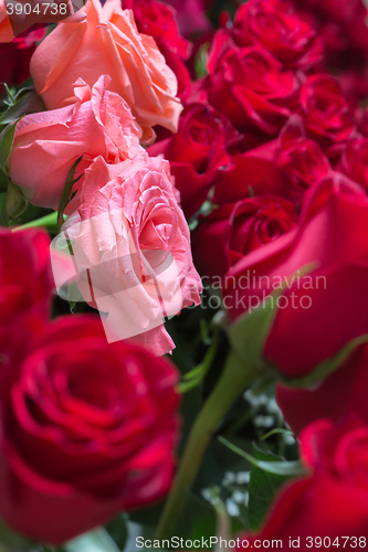 Image of red roses background