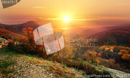 Image of Red autumn in mountains