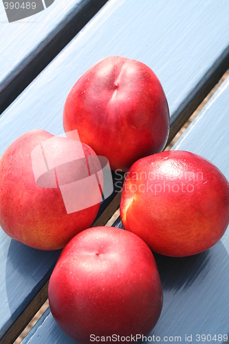 Image of Nectarines