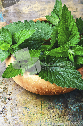 Image of fragrant melissa leaves