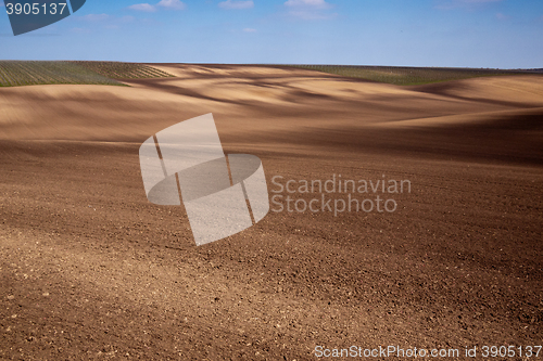 Image of Spring landscape with fields and vineyards 