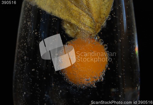 Image of Physalis with a twist