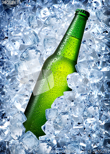 Image of Green bottle in ice