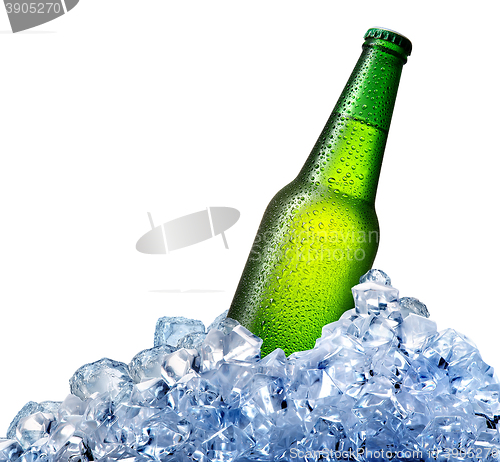 Image of Beer bottle in ice