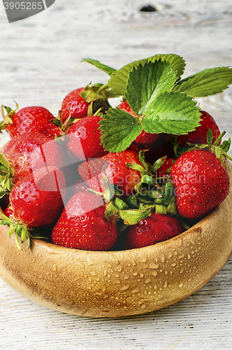 Image of Harvest garden strawberry