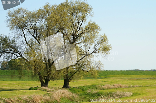 Image of on the Elbe dike