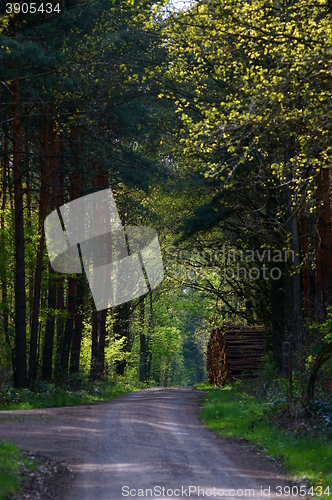 Image of forest road