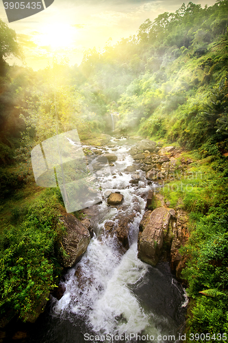 Image of Tropical river at sunrise