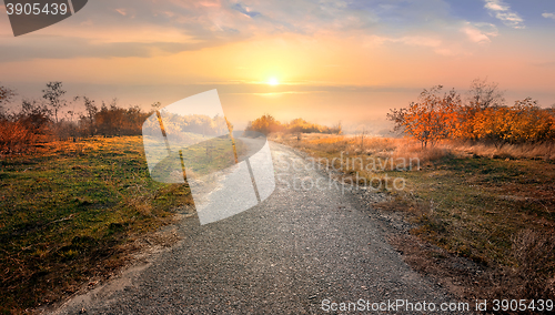 Image of Road and red autumn