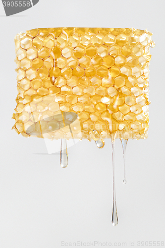 Image of Honey dripping from honeycomb