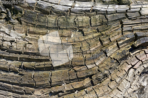 Image of Wood texture abstract 