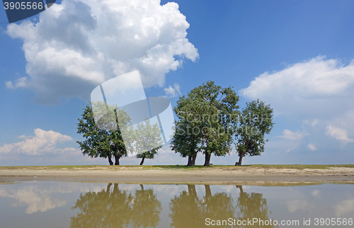 Image of Reflexion of clouds and trees