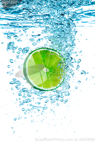Image of Green lime in the Water.
