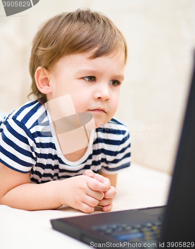 Image of Little boy is playing on laptop