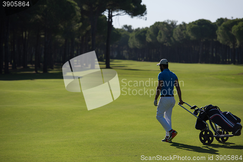 Image of golf player walking with wheel bag