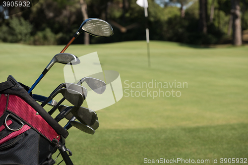 Image of close up golf bag on course