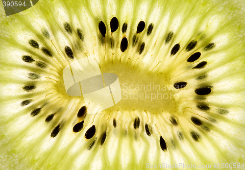 Image of Kiwi fruit
