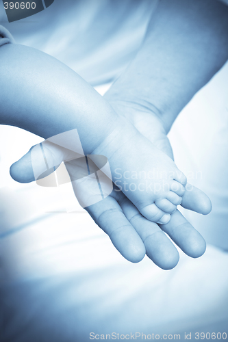 Image of Baby foot and adult hand