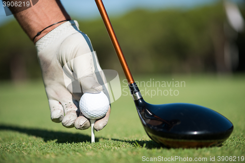 Image of golf player placing ball on tee