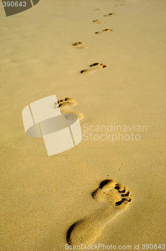Image of Footprint in sand on beach