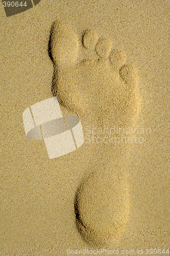 Image of Footprint in sand on beach