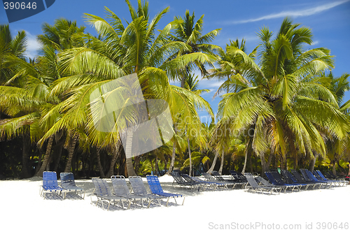 Image of Paradise beach with palms and sunbeds