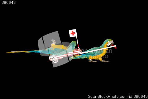 Image of Parrot ambulance driving hospital