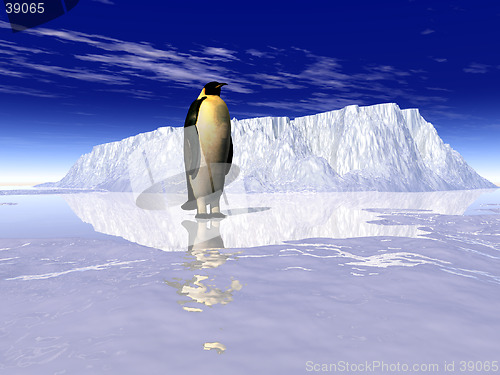 Image of Penguins 1