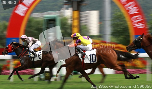 Image of Horse Racing