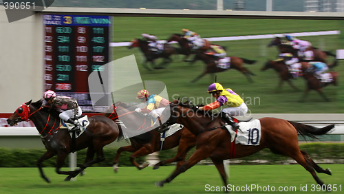 Image of Horse Racing