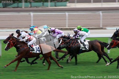 Image of Horse Racing