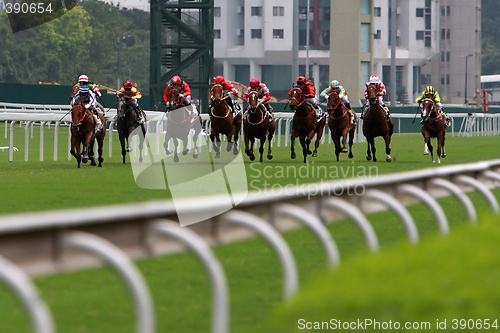 Image of Horse Racing